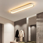Modern LED ceiling lamp for the hallway