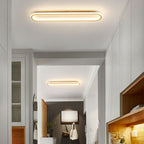 Modern LED ceiling lamp for the hallway