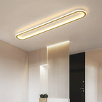 Modern LED ceiling lamp for the hallway